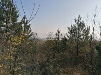 Eladó telek, Zsámbékon 6.8 M Ft / költözzbe.hu