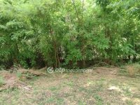 Eladó mezogazdasagi ingatlan, Jászberényben 16.5 M Ft, 2 szobás