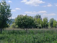 Eladó telek, Badacsonytördemicen 17.5 M Ft / költözzbe.hu