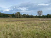 Eladó mezogazdasagi ingatlan