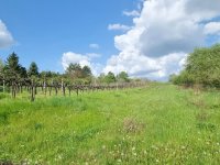 Eladó családi ház, Bicskén 19.99 M Ft, 2 szobás