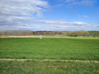 Eladó telek, Tápszentmiklóson 4.9 M Ft / költözzbe.hu