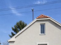 Eladó családi ház, Adonyban 37.5 M Ft, 2 szobás