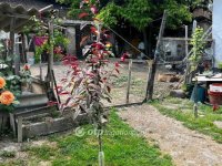 Eladó családi ház, Monyoródon 29.9 M Ft, 117+3 szobás