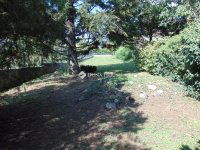 Eladó családi ház, Pécsett 84.9 M Ft, 4 szobás