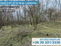 Eladó mezogazdasagi ingatlan, Lajosmizsén 5.2 M Ft