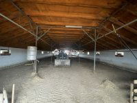 Eladó mezogazdasagi ingatlan, Domaszéken 160 M Ft