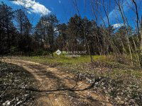 Eladó mezogazdasagi ingatlan