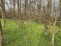 Eladó családi ház, Ladánybenén 49.99 M Ft, 3 szobás