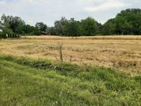 Eladó telek, Gárdonyban 11.9 M Ft / költözzbe.hu