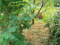 Eladó telek, Pécsett 9.9 M Ft / költözzbe.hu