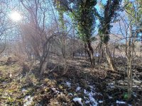 Eladó mezogazdasagi ingatlan, Bakonygyiróton 6.5 M Ft