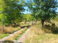 Eladó telek, Balatonfüreden 112 M Ft / költözzbe.hu