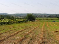 Eladó mezogazdasagi ingatlan, Kőröshegyen 3.9 M Ft