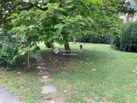 Eladó családi ház, III. kerületben 399 M Ft, 6 szobás