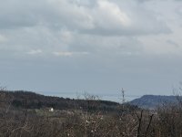 Eladó mezogazdasagi ingatlan, Pécselyen 16 M Ft