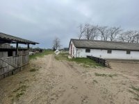 Eladó mezogazdasagi ingatlan, Domaszéken 160 M Ft