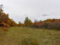 Eladó telek, Pécselyen 24.99 M Ft / költözzbe.hu