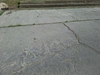 Kiadó telek, Székesfehérvárott 350 E Ft / hó