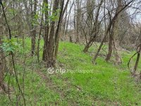 Eladó mezogazdasagi ingatlan, Pellérden 16 M Ft