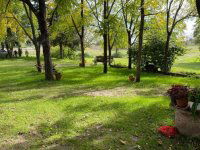 Eladó mezogazdasagi ingatlan, Lajosmizsén 205 M Ft, 22+4 szobás