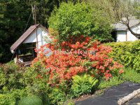 Eladó telek, Nádasdon 5 M Ft / költözzbe.hu