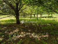 Eladó mezogazdasagi ingatlan