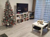 Kiadó téglalakás, albérlet