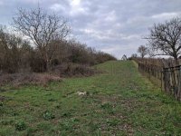 Eladó mezogazdasagi ingatlan, Balatonalmádiban 15 M Ft