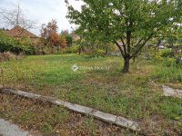 Eladó családi ház, Monoron 45 M Ft, 3 szobás