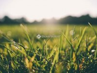 Eladó telek, Gyömrőn 13.9 M Ft / költözzbe.hu