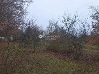 Eladó mezogazdasagi ingatlan