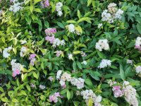 Eladó téglalakás, XIV. kerületben 104.9 M Ft, 3 szobás