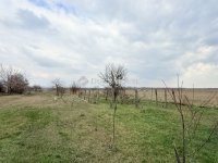 Eladó telek, Tahitótfalun 10.49 M Ft / költözzbe.hu