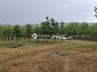 Eladó családi ház, Berkenyén 320 M Ft, 5 szobás