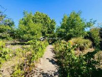 Eladó családi ház, Taksonyon 69.99 M Ft, 3 szobás