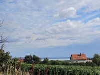 Eladó mezogazdasagi ingatlan, Szentantalfán 49.99 M Ft