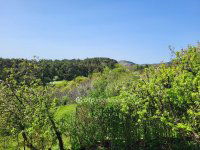 Eladó családi ház, Budaörsön 300 M Ft, 5 szobás