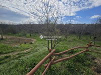 Eladó mezogazdasagi ingatlan