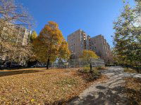 Kiadó panellakás, albérlet