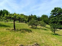 Eladó telek, Boncodföldén 10.8 M Ft / költözzbe.hu