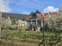 Eladó családi ház, Pécsett 184.99 M Ft, 6 szobás