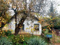 Eladó családi ház, Kisecseten 19.9 M Ft, 2 szobás