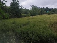 Eladó telek, Győrságon 13.5 M Ft / költözzbe.hu