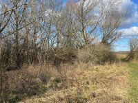 Eladó ipari ingatlan