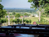 Eladó ipari ingatlan