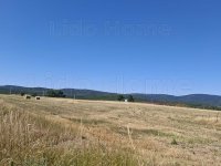 Eladó ipari ingatlan, Márkón 160 M Ft / költözzbe.hu