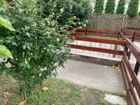 Eladó családi ház, III. kerületben 399 M Ft, 6 szobás