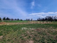 Eladó családi ház, Kunszentmiklóson 94.99 M Ft, 5 szobás