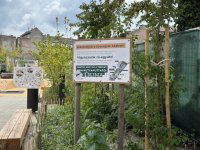 Eladó téglalakás, VIII. kerületben 49.9 M Ft, 2 szobás